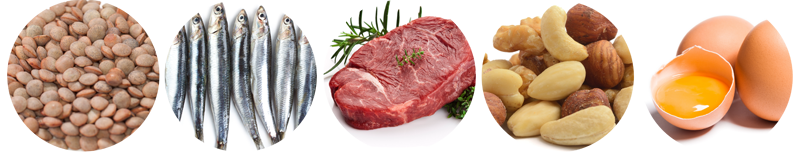 Aliments proteics Aliments proteics