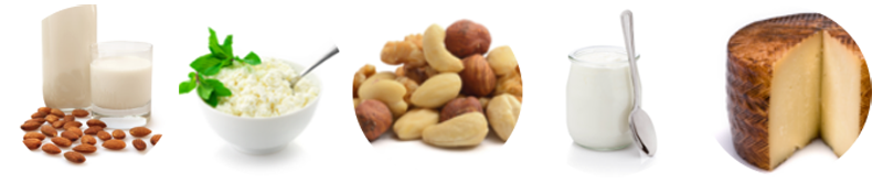 Lactis i batuts vegetals